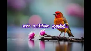 மனது மயங்கும் பாடல்கள்🌹Beautiful soft and sweet melodies 🎶
