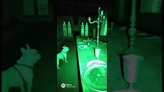 Pibbles & DVB Ghost Seekers Episode 1!