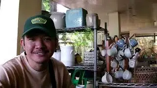 Macky's first time to eat thai food | January 23, 2025