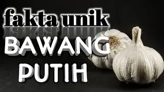 FAKTA UNIK BAWANG PUTIH @AlamSemenit #bawangputih #faktaunik #viral #trending #ragamdunia #trend