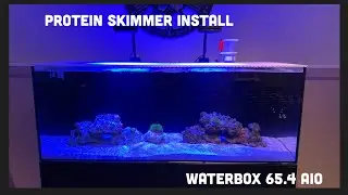 Protein skimmer install on the all new waterbox 65.4 aio