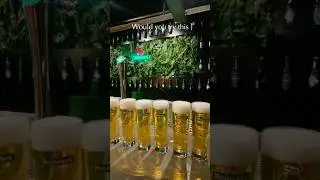 From brewing to tasting 🍺 The Heineken Experience in Amsterdam #heinekenexperience #amsterdam