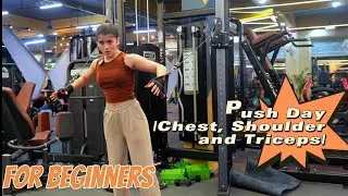 Beginner-Friendly Push Day ( Chest, Shoulder and triceps) &ndash; Moves for Strength & Muscle Growth!
