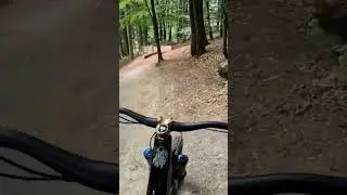 Roadgab Bikepark Winterberg #bike #downhill #enduro #fox #foxracing #maxxis #crankbrothers #scott