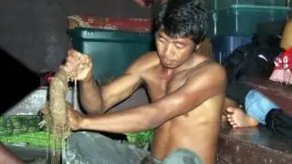 SALPERINO PABLO - NGILEN ARAMAS KAWEIDI IUKALA