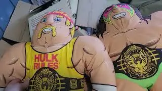 How much money  wwf  made from buddy  🤔 