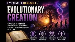 Evolutionary Creation