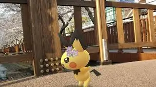 [GO Snapshot Slideshow] 피츄 ( Pichu ) ピチュー ( 皮丘 )