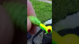 Soft Plastic Superglue Hack All Fisherman Should Know!🎣🤑 #fishing #short #fishingtips #short