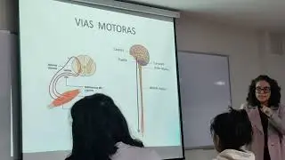 Clase de Neuroanatomía 01