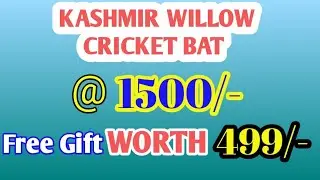 Kashmir Willow Cricket Bat Under 1500 | Free Gift 499 | #cricket #viralvideo