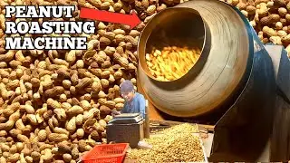 Peanut Roasting Machine In Pakistan 🥜🇵🇰 | Young Boy Selling Peanuts In The Streets Of Rawalpindi