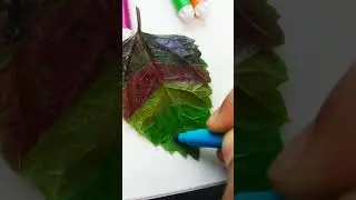 Testing viral leaf hack fail/pass #satisfying #viral #SweetSparkles #shorts