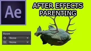 AE002 How to Use Parenting in After Effects