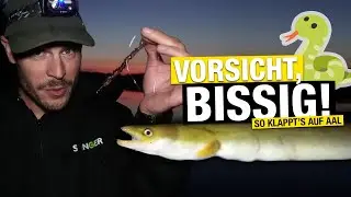 Aalangeln am Baggersee: So klappt's garantiert!🐍💥