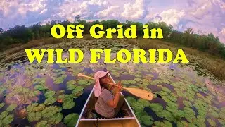 OFF GRID with REGENERATIVE AGRICULTURE in the FLORIDA Wilderness #regenerativeagriculture #offgrid