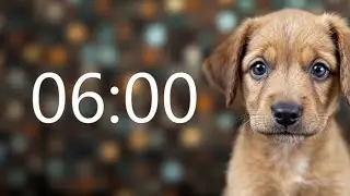 6 Minute Timer (GOOD PUPPY MUSIC + Sound Notification at Zero)