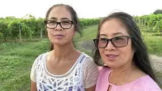 Canadian Trip, Part 5 (Vineyard and Orchard Evening Walk ) -  Episode no. 80