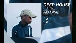 Deep House l Buddynice l Rise l Mixing l Dalton On Deep l Roctonic lChronical Deep lRedemial Sounds