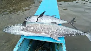 Jackpot sa spot naaryahan😯🎣 blue Marlin at tanigue