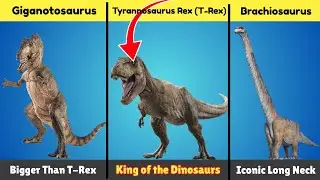 Most Powerful Dinosaurs in the World | Biggest & Deadliest Dinosaurs Ever