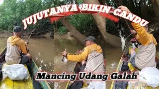TARIKAN UDANG GALAH SUNGAI BENAKAT