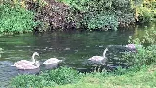 Great Stour Way HD