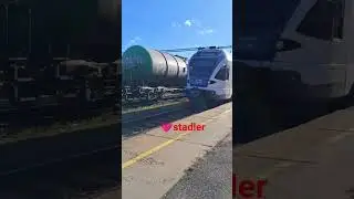Z42-es zon&aacute;z&oacute; indul k&ouml;b&aacute;nya kispest fel&eacute;