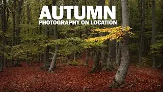 Autumn Landscape Photography on Location with the Canon EOS R [Tips, Compositions & Settings]