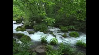 Beautiful Relaxing Music &bull; Peaceful Piano, Cello & Guitar Music #short