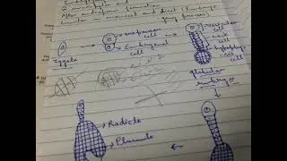 Embryogeny