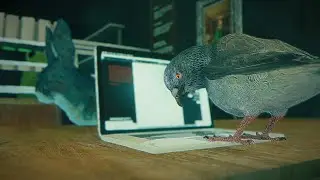 Skate Story [#4] - Pigeon Help