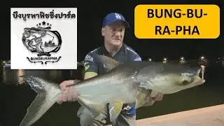 Bungburapha fishing park Thailand บึงบูรพา ฟิชชิ่งปาร์ค. newest fishing park in Thailand.