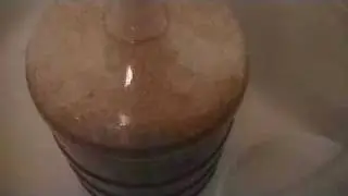 3 Phils fermentation