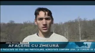 AFACERE CU ZMEURĂ
