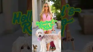 What&rsquo;s in My Dog&rsquo;s Travel Bag? Hollywood&rsquo;s Essentials for Pet-Friendly Trips