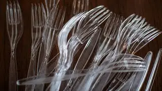 Seattle bans plastic straws and utensils