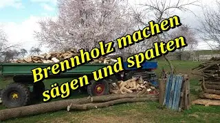 Das erste Sägen und Spalten | Mit Hand und Schichtspalter