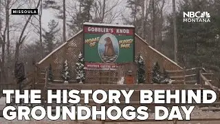 Groundhog Day 2026 The history behind the holiday and this year's results