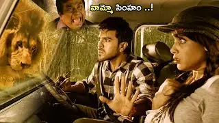Brahmandam And Ramcharan Lion Comedy Scene | Telugu Movies | @MayaBazar-g3e