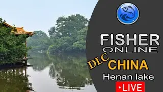 Fisher Online DLC Chiny