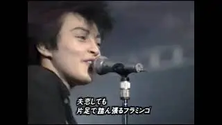 川村カオリ   ZOO   StudioLive 1992