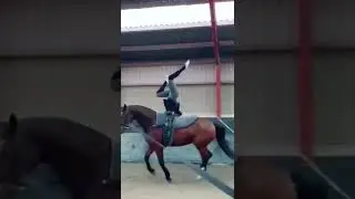 gymnastic girl with horse #horse #equestrian #vaulting #training #shorts #girl #trendingshorts