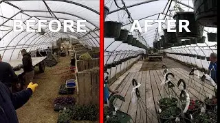 1 DAY GREENHOUSE TRANSFORMATION