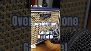 Mini Overdrive tone! #guitar #tone #musician #gear #shorts