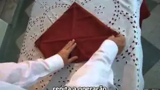 Dobra guardanapo Alcachofra 2