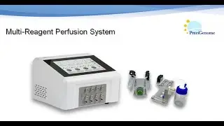 PreciGenome iFlow Multi-Reagent Perfusion System Demo, Pulse Free Flow for cell culture study
