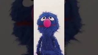 Meet Grover's Furry Chicken Friend! #sesamestreet