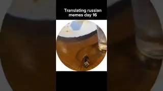 Translating Russian memes DAY 16 #memes #funny #funnyshorts