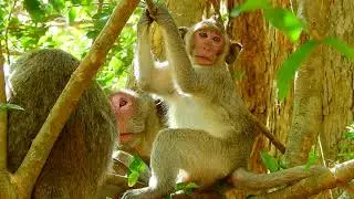 Jane getting milk for baby Janna but Janet com to Disturbed mommy with Janna